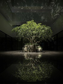 Kabin Kyoto