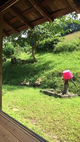 Farm Stay Banja