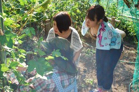 Farm Stay Banja