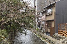 Gojo Takasean