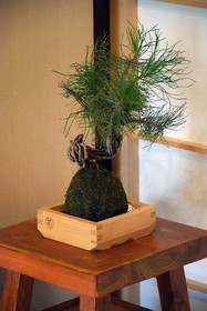Guesthouse Hanamiya