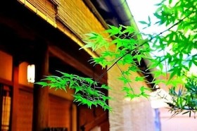 Guesthouse Kingyoya