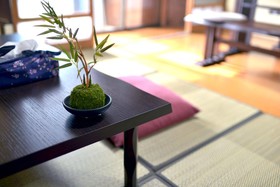 Guest House Kyoto Tachibanaya