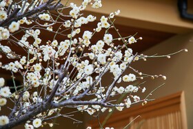 Hanare Kyoto Onyado Hasegawa
