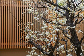 Hanare Kyoto Onyado Hasegawa