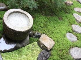 HARUYA Terrace