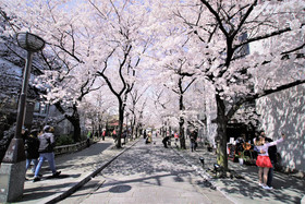 Hotel Alza Kyoto