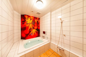 Hotel & Spa Lotus