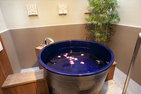 Hotel & Spa Lotus