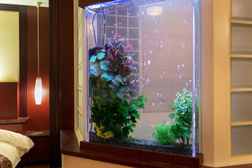 Hotel & Spa Lotus