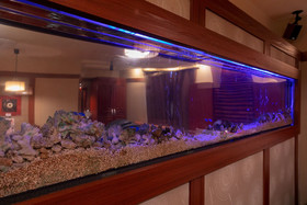 Hotel & Spa Lotus