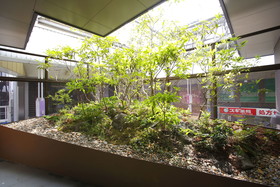 Hotel Gracery Kyoto Sanjo