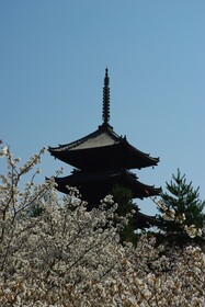 Hotel Keihan Kyotoeki Minami