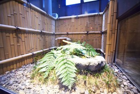 Hotel Legasta Kyoto Shirakawa Sanjo