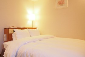 Hotel San Crane