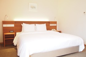 Hotel San Crane