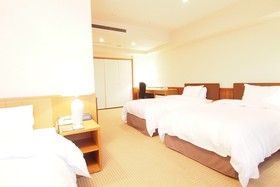 Hotel San Crane