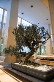 DoubleTree by Hilton Kyoto Higashiyama