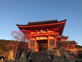 Hotel Vista Premio Kyoto Nagomitei