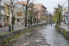 Inari Inn