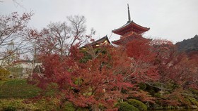 Keio Prelia Hotel