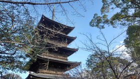 Keio Prelia Hotel