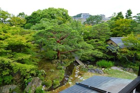 Kikusui
