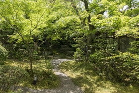 Kikusui