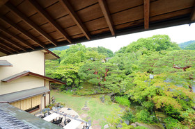 Kikusui