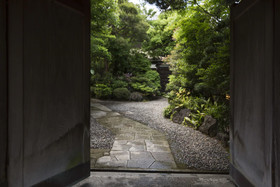 Kikusui