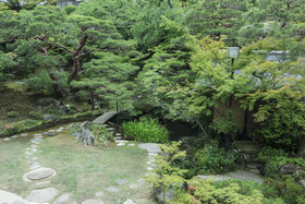 Kikusui