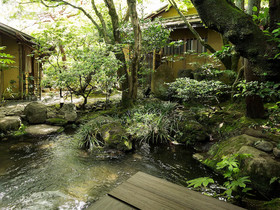 Kikusui