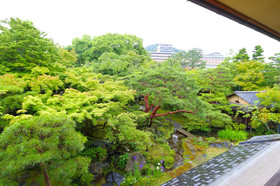 Kikusui