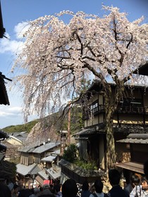 OYO Hotel MUSUBI KYOTO Higashiyama Gojo