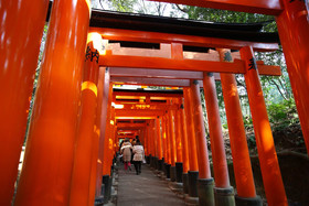 Kyokoyado Yasaka Yutone