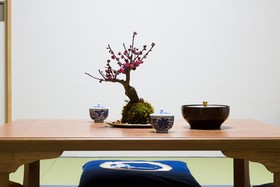 Kyonomachi Hakuho