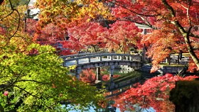 Kyo no Ondokoro Nishijin Villa