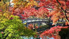 Kyo no Ondokoro OKAZAKI