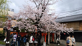 Kyo No Yado Nishioji