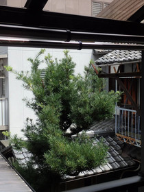 Kyo No Yado Nishioji