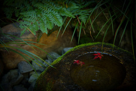 Kyo Ryokan Gekko-an