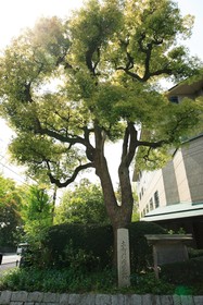 Kyoto Garden Palace
