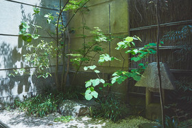 Kyoto Gion Yasaka-No-Yado