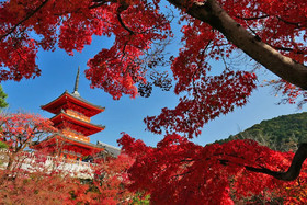 Kyoto Granbell Hotel