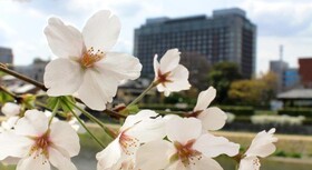 Kyoto Hotel Okura