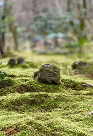 Kyoto Ohara Ryokan Seryo