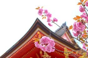 Kyoto Stay Sakura Toji South 2