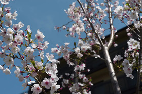 Kyoto Takasegawa Bettei