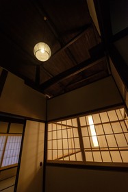 Mibu Momiji