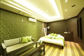 MINT Premium